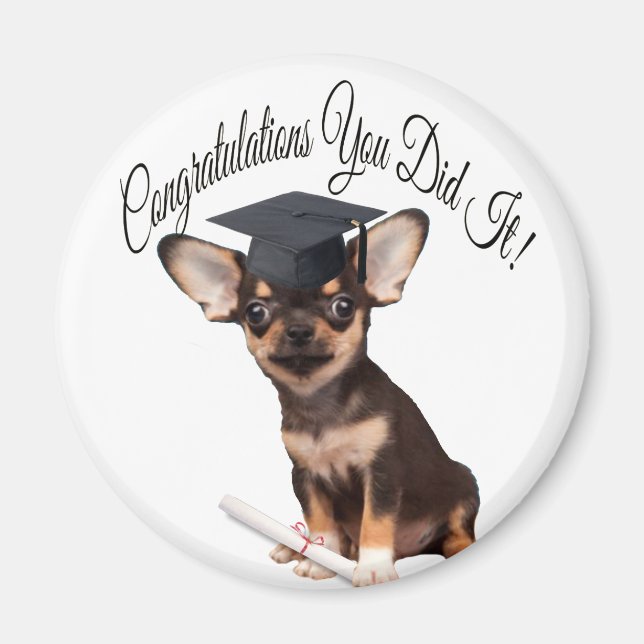 Graduation Chihuahua dog magnet (Front)