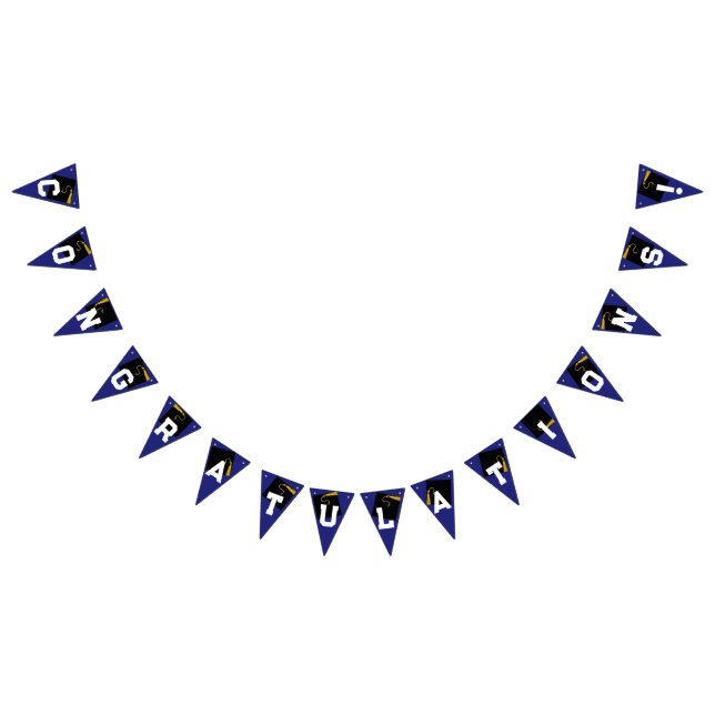 Graduation Congratulations Blue Bunting Flags (All)