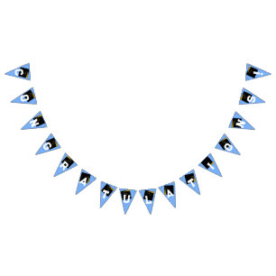 Graduation Congratulations Light Blue Bunting Flags