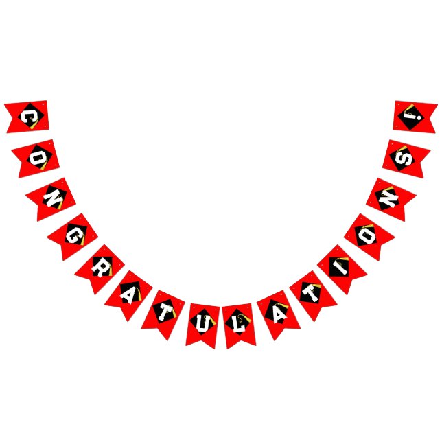 graduation congratulations party decor bunting flags (All)