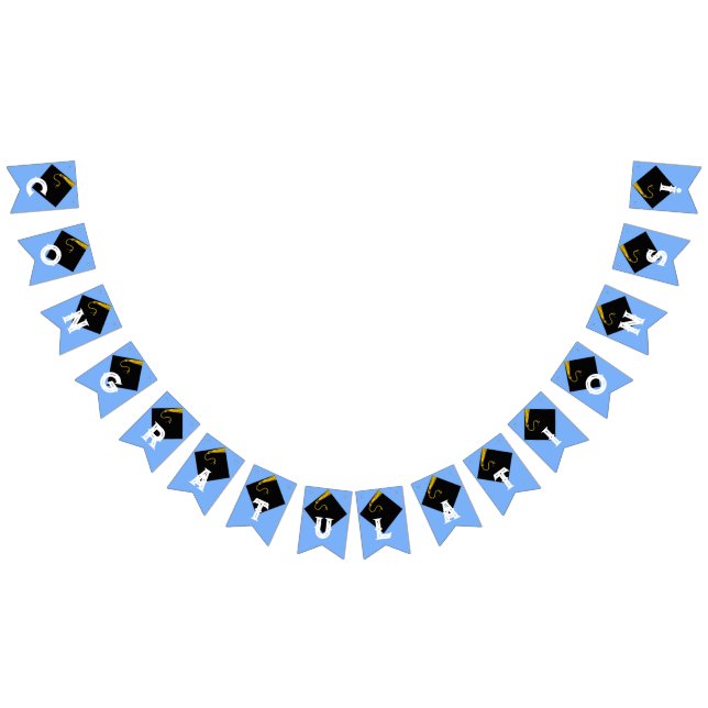 Graduation Congratulations Party Idea Bunting Flags (All)