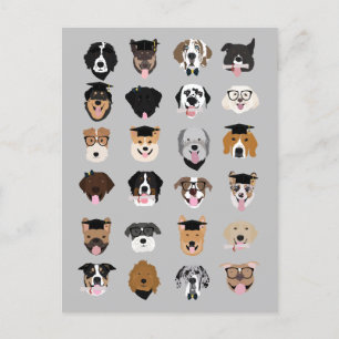 Graduation Dog Faces Postcard