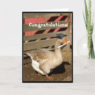 Graduation goose card
