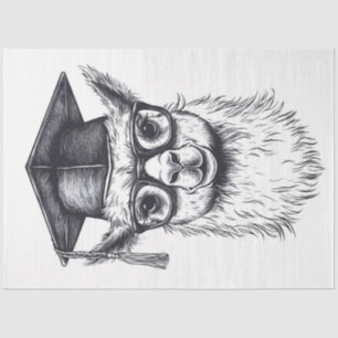 Graduation Llama Tissue Paper