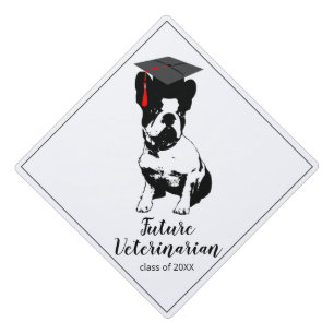 Graduation Medical School Veterinarian Cap Topper