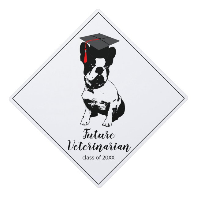 Graduation Medical School Veterinarian Cap Topper (Front)