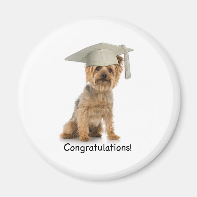 Graduation Yorkie Congratulations Magnet (Front)