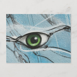 Graffiti Eye Postcard