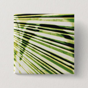 Graffiti on a shutter 2 inch square button