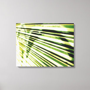 Graffiti on a shutter canvas print