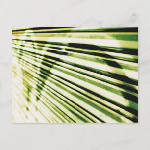 Graffiti on a shutter postcard