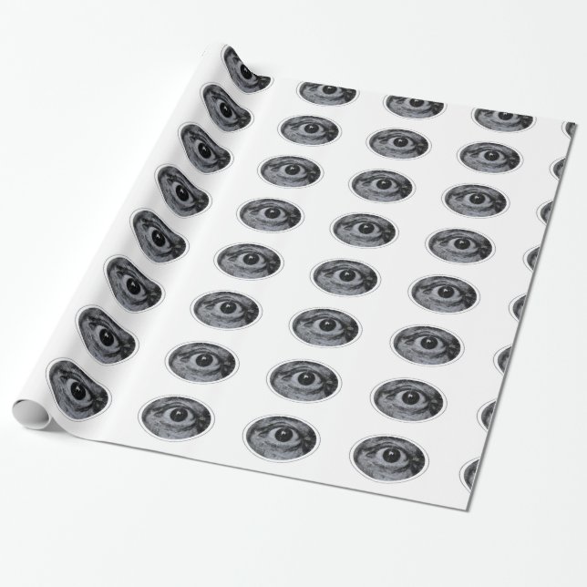 Grafitti Eye Wrapping Paper (Unrolled)