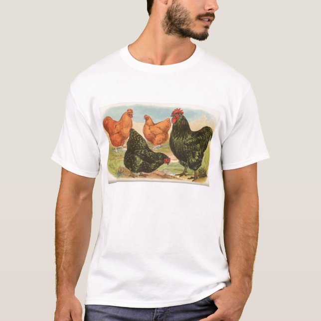 Graham - Orpington Chickens T-Shirt (Front)