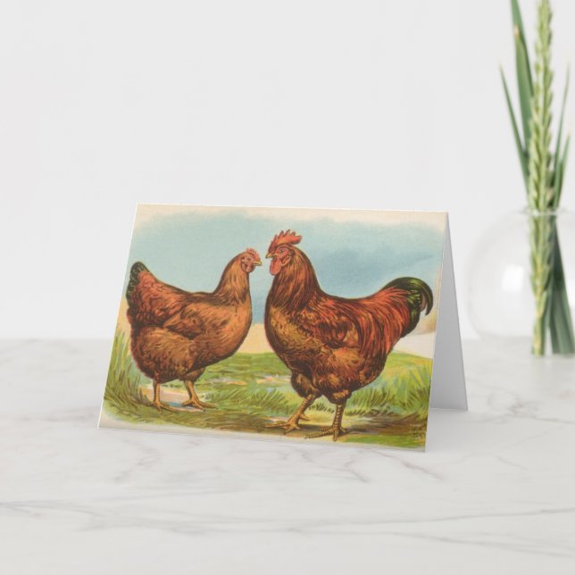 Graham - Rhode Island Red Chickens Card (Front)