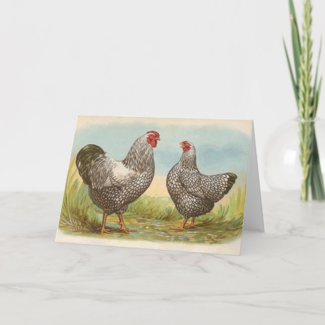 Graham - Silver Laced Wyandotte Chickens Card (Front)