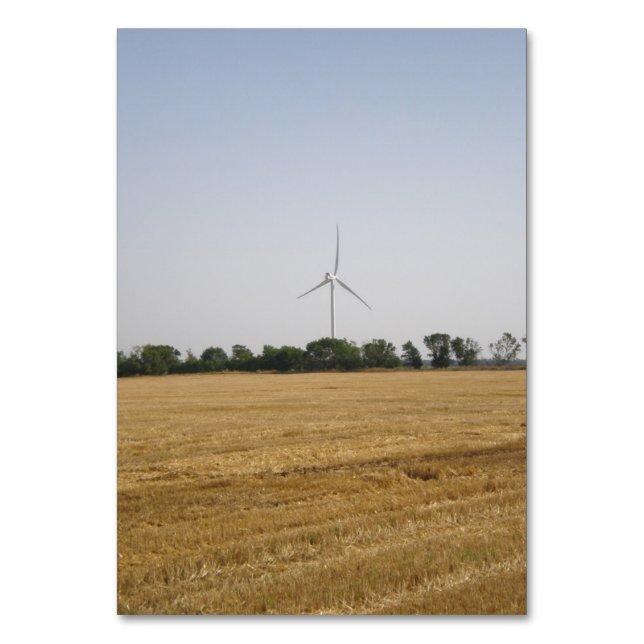  Grain field on the wind farm  Table Number (Front)