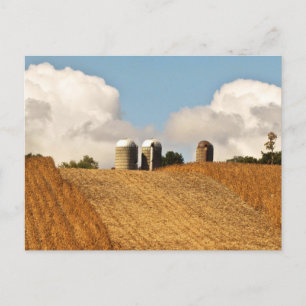 Grain Harvest Postcard