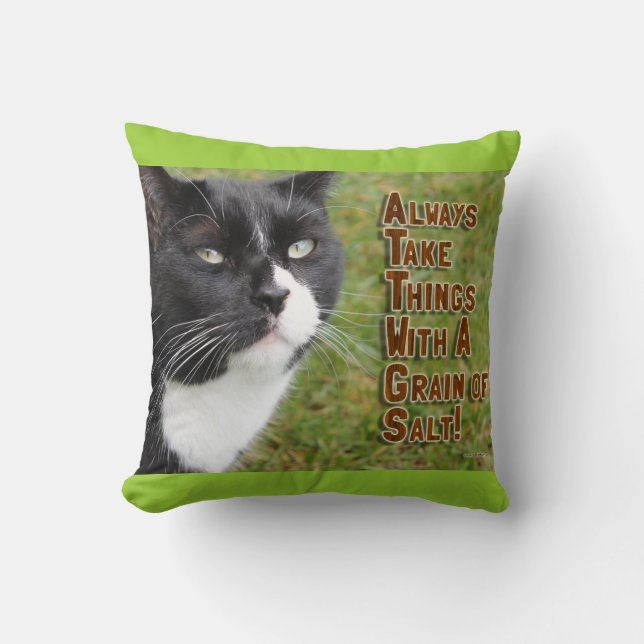 Grain Of Salt Cat Motivational Quote Photo Throw Pillow (Front)