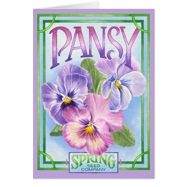 Graines de sansy - Carte blanche (Devant)