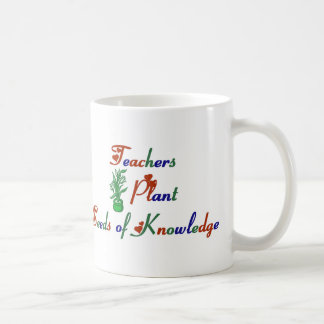Graines d'usine de professeurs de tasse de la