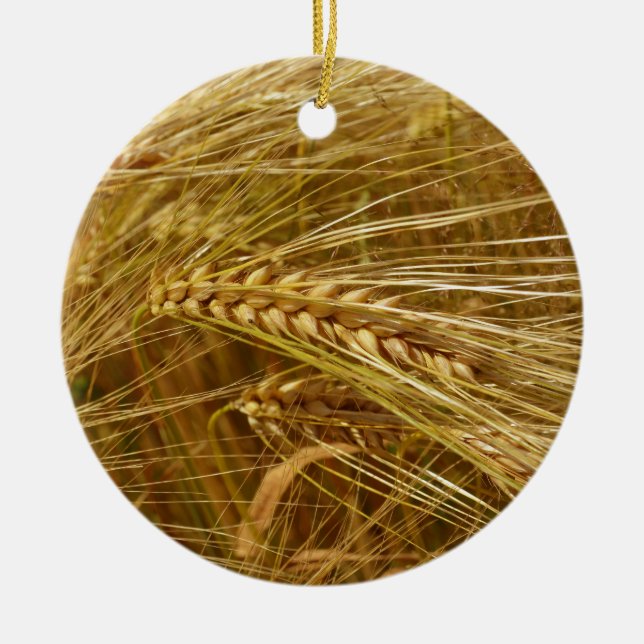 Grains of wheat in the field.  It’s Harvest Time!  Ceramic Ornament (Front)