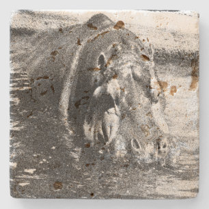 Grainy Black White Hippo Art, Stone Coaster