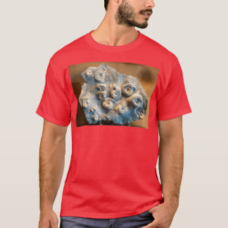 Grammoceras doertenense Ammonit fossil classique T-Shirt