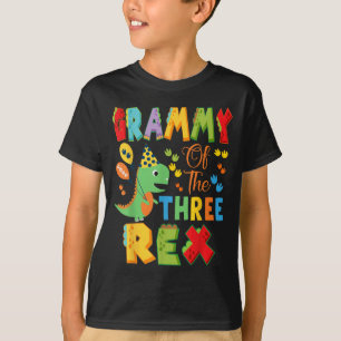 Grammy Of The Three Rex 3rd Birthday Boy Dinosaur T-Shirt