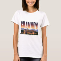Granada Spain Spanish Cultural Exploration View 🏛