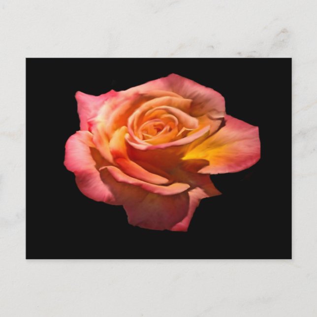 Granada Tea Rose Postcard (Front)