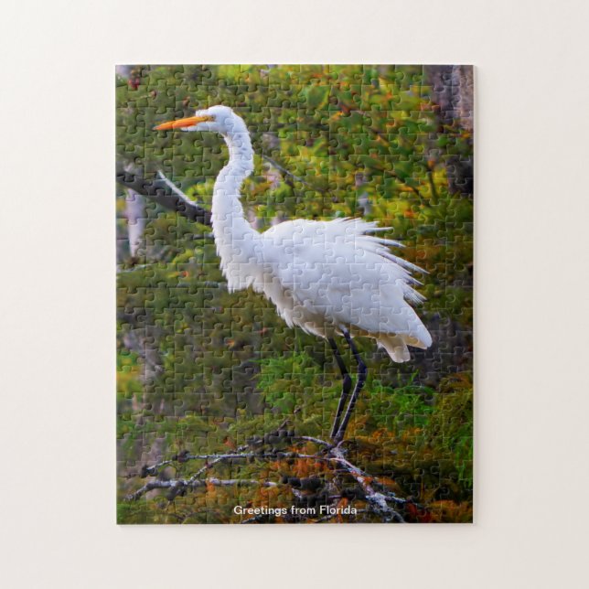 Grand Aigrette de Floride Puzzle (Vertical)