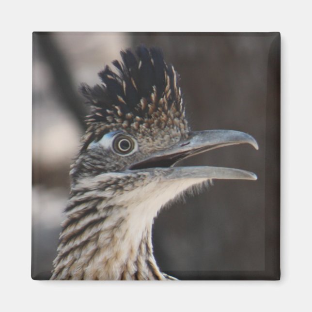 Grand aimant de roadrunner (Devant)