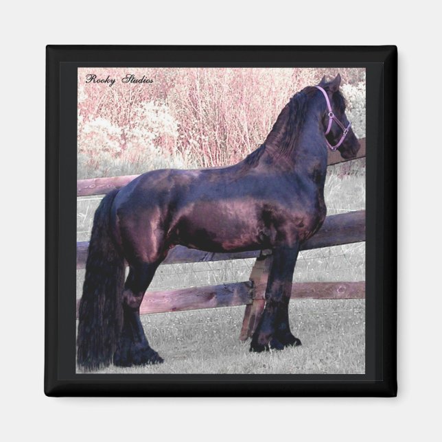Grand aimant friésien Horse (Devant)