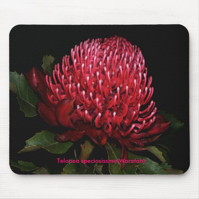 Grand Aussie Lady Mouse Pad (Front)
