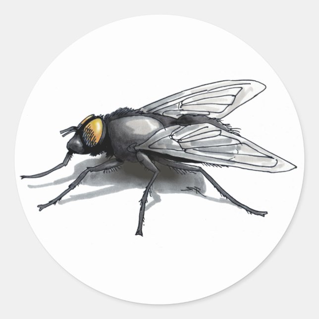 Grand autocollants ronds blancs Fly Buddy (Devant)