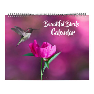 Grand calendrier de beaux oiseaux de taille