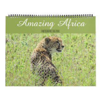 grand calendrier des animaux africains 2025