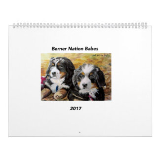 Grand calendrier des bébés 2017 de nation de