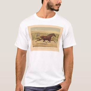 Grand California Trotting Mare Sunol (0652A) T-Shirt