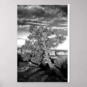 Grand Canyon 03 Poster