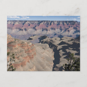 Grand Canyon (1) Postcard