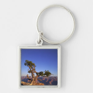 Grand Canyon, Arizona, USA Keychain