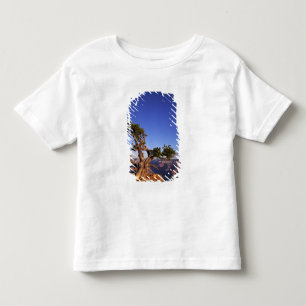 Grand Canyon, Arizona, USA Toddler T-shirt