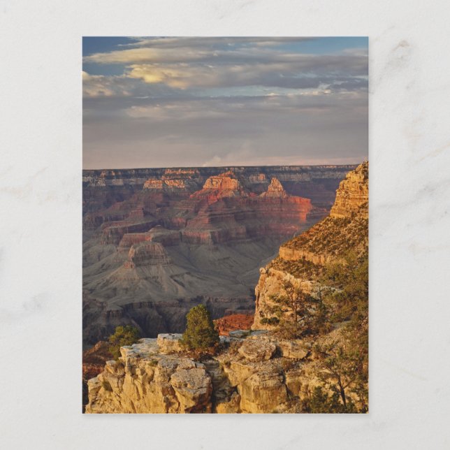 Grand Canyon from the south rim at sunset, 2 Postcard (Front)