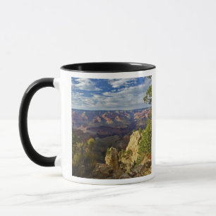 Grand Canyon from the south rim at sunset, 6 Mug