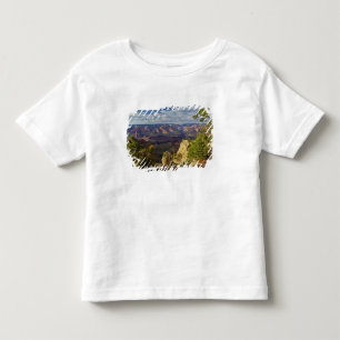 Grand Canyon from the south rim at sunset, 6 Toddler T-shirt