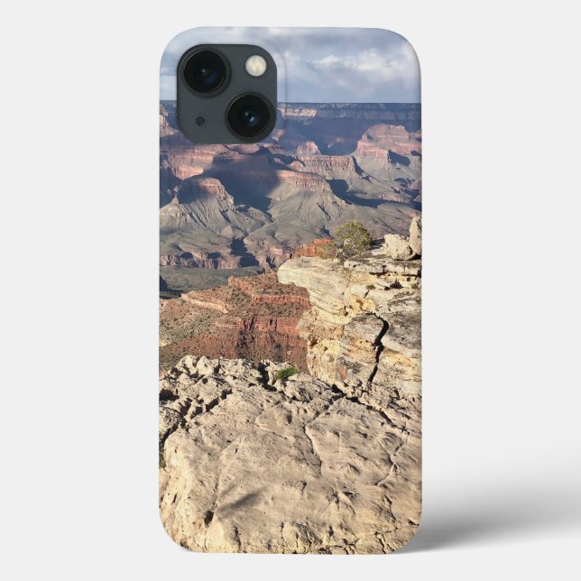 Grand Canyon from the Top iPhone Cases (Back)