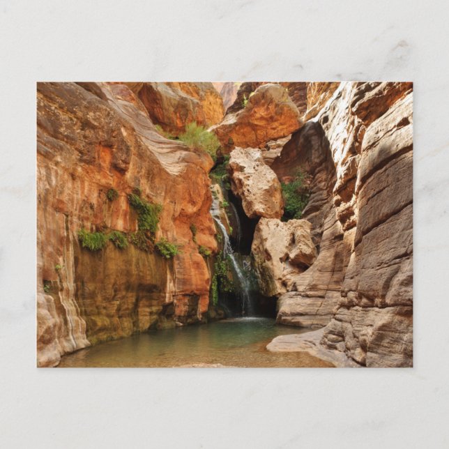 Grand Canyon National Park, Arizona Postcard (Front)