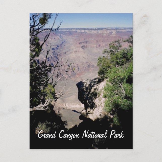Grand Canyon National Park Postcard (Front)
