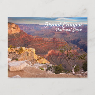 Grand Canyon National Park Postcard